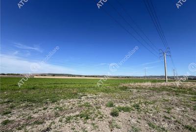Teren intravilan in Sibiu 3300 mp situat in zona Calea Suri - 3