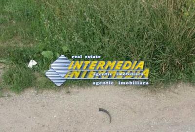 Teren Construcții intravilan de 6500 mp, în Cetate - 3