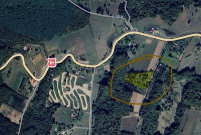 Spațiu comercial, în Șinteu - 6