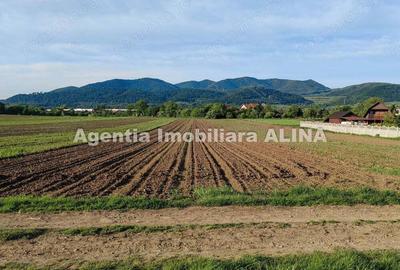 Teren intravilan 4094mp in Satul Soimus din Comuna Soimus, Jud. Hunedoara. - 5