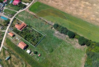 Teren Construcții intravilan de 2469 mp, în Bălata - 10