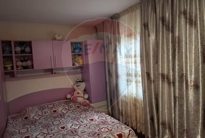 Casa / Vila cu 6 camere de vanzare in zona Calea Severinului - 13
