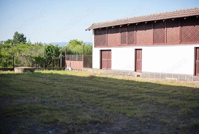 Casă cu Teren 6172 Mp în Central
