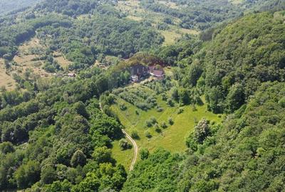 Casă cu 10 camere cu Teren 24700 Mp în Berchezoaia - 9