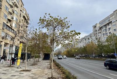 Spatiu Comercial renovat - Bulevardul Decebal - 14