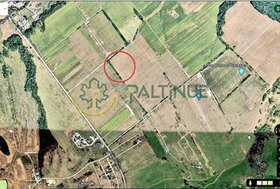 Teren de vânzare în Calea Cisnădiei, Sibiu – 550 mp, PUZ aprobat, vedere superbă - 2