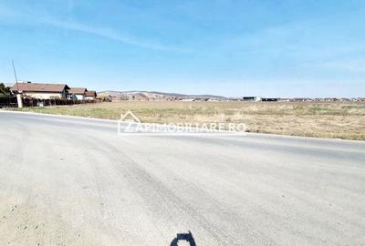 Teren 27.000 mp.deschidere la 2 drumuri ,75 euro mp. - 6