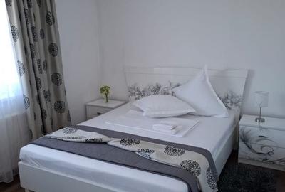 Apartament cu 3 camere decomandat, mobilat în Partoș - 4