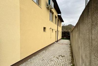 CASA DE VIS SAU AFACERE DE SUCCES BAIA SPRIE - 3