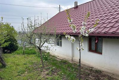 Casă individuală cu 4 camere cu Teren 376 Mp în Exterior Vest - 3