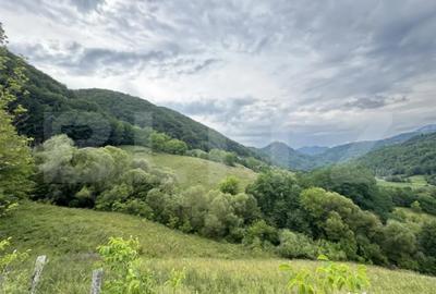 Teren de 23376 mp, în Central - 3