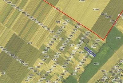 Teren extravilan, loc Obarsia, Jud Olt - 8