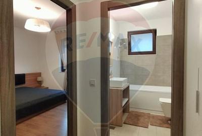 Apartament cu 2 camere semidecomandat, mobilat în P-ța Unirii - 10