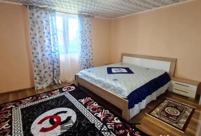 Casă cu 2 camere cu Canalizare în Șura Mică - 6