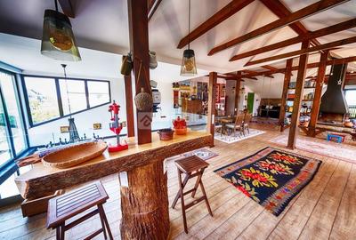 Proprietate unica, independenta energetic, zona Bucium Proprietate unica, independenta energetic, zona Bucium - 13