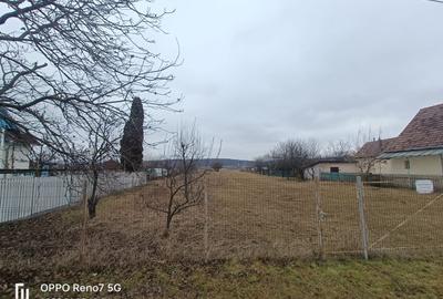 Teren de vanzare -Reghin - Iernuțeni 7000 mp - 2