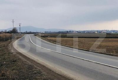 Teren extravilan de vanzare, 30.000 mp, cu potential de con - 6