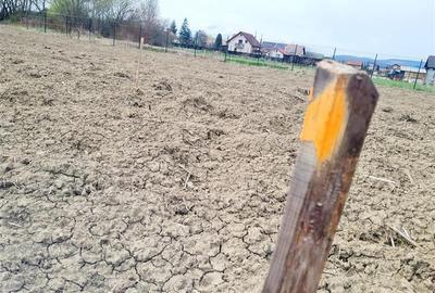 Teren 1.700 mp intravilan, natura, vecinatati bune, potential dublu, Lunca Calni - 17