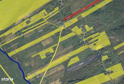 Teren de 30000 mp, în Poienari - 2