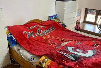 Apartament 3 camere la casa, Metianu - 13