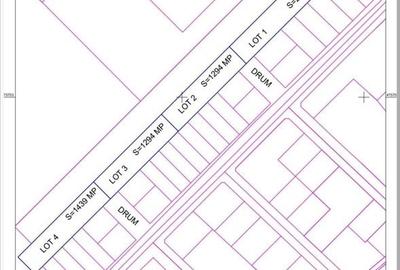 Teren intravilan 1.294 mp de vânzare – Timișoara, Calea Urseni, lângă Pepinieră - 2