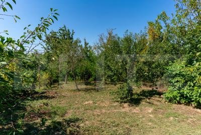 Casa de vanzare in Rovina(Branisca) - 6