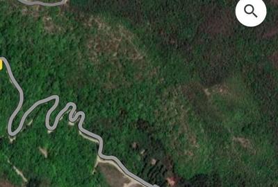 Teren de 660000 mp, în Beceni - 5