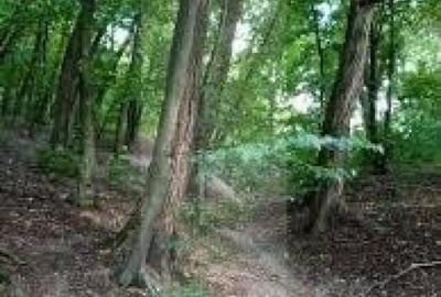 Teren de 72450 mp, în Someșeni