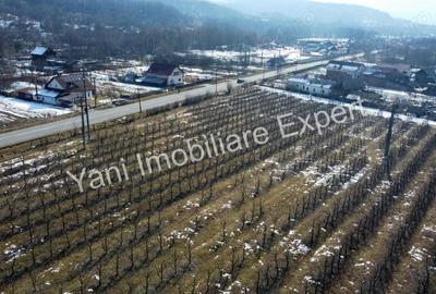 Teren de vanzare in comuna Mu?ate?ti, jude? Arge?. - 11