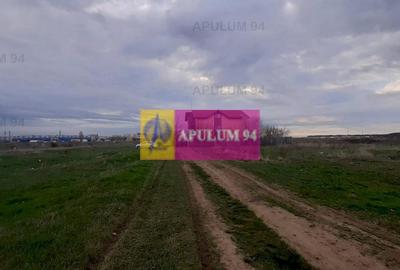 Teren Construcții intravilan de 1055 mp, în Berceni - 13