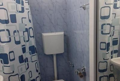 Muncii iancului maior coravu parter - 17