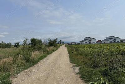 Parcele de 500 mp de vanzare in Halchiu Zona in plina dezvoltare! - 6