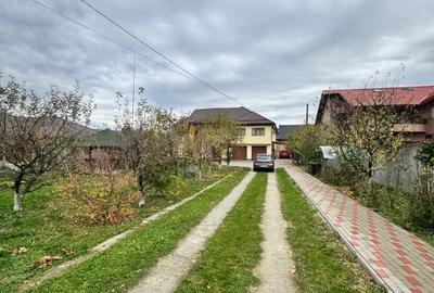 CASĂ DE VIS SAU AFACERE DE SUCCES - BAIA SPRIE - 10