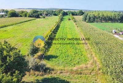 TEREN intravilan  6764 mp DRAGOMIRESTI - VAD - 10