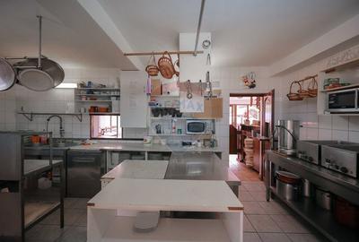 Oportunitate de investitie, Restaurantul Piatra Graitoare,Vartop,Bihor - 11