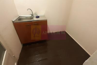 Casa la Piata Romana 2 Camere la Curte pe Strada Nicolae Iorga - 14