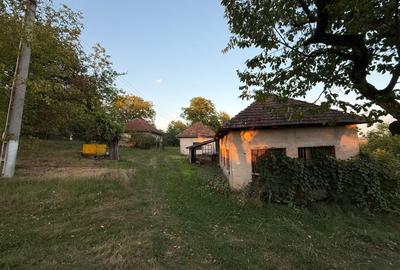 Proprietate la țară cu teren generos - 6