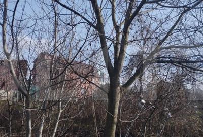 Teren de 500 mp, în Mănăștur - 6