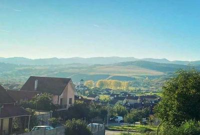 Apartament cu 2 camere în Cetate - 4