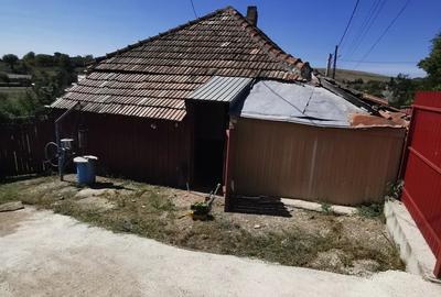 Casă cu 2 camere în Dumești - 5