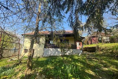 Casă cu 3 camere cu Teren 800 Mp în Telega - 10