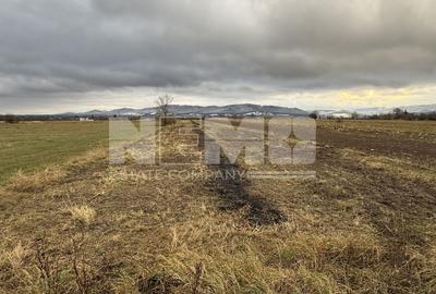 Teren agricol extravilan de 8000 mp, în Vicovu de Sus - 1