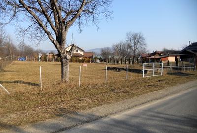 TEREN INTRAVILAN ULTRACENTRAL LA 6 KM DE SIGHET LA SOSEA PRINCIPALA ASFALTATA - 7