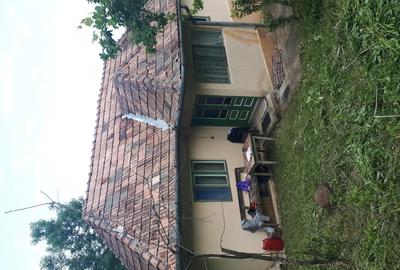 Casa de vanzare - 2