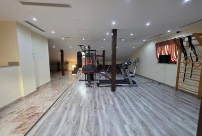 Casă cu 8 camere cu Teren 764 Mp în Timpuri Noi - 45