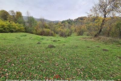 Casă cu Teren 14340 Mp în Breaza - 10