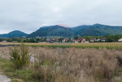 Teren Construcții intravilan de 790 mp, în Baciu - 7