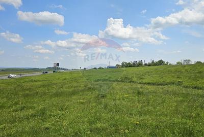 Teren Ilisesti  7000mp extravilan/ DN 17, Suceava - 17