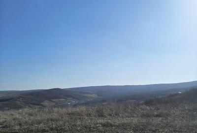 Spațiu comercial, în Tomești - 6