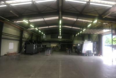 SPATIU PRODUCTIE SI/SAU DEPOZITARE USOARA - 2